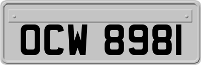 OCW8981