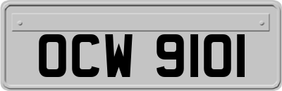 OCW9101