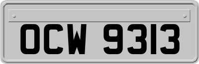 OCW9313