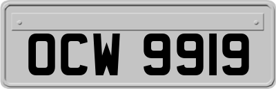 OCW9919