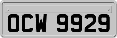 OCW9929