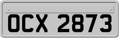 OCX2873