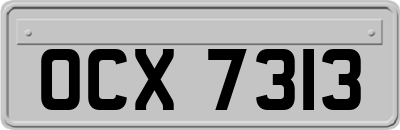 OCX7313