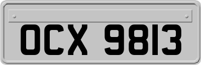 OCX9813