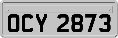OCY2873