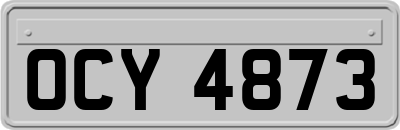 OCY4873