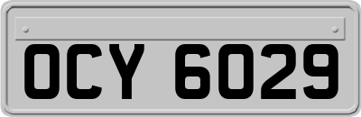 OCY6029