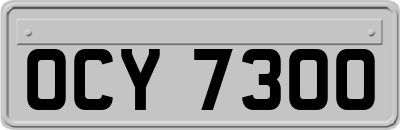 OCY7300