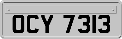 OCY7313
