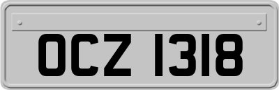 OCZ1318