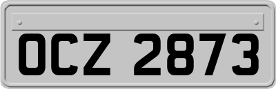 OCZ2873