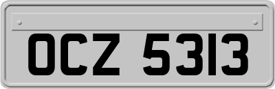 OCZ5313