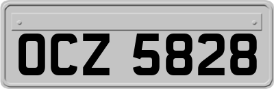 OCZ5828