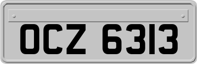 OCZ6313
