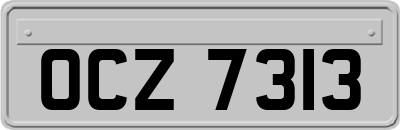 OCZ7313