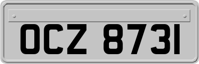OCZ8731