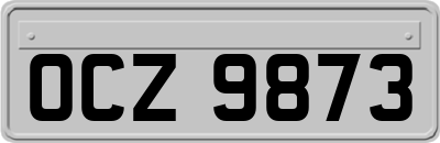 OCZ9873