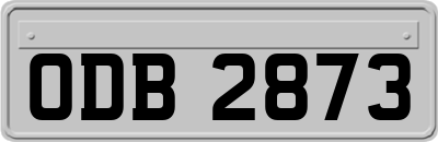 ODB2873