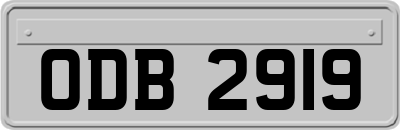 ODB2919