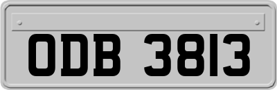 ODB3813