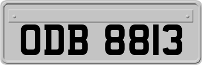 ODB8813