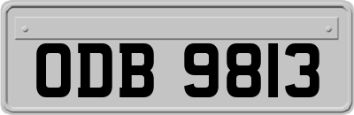 ODB9813