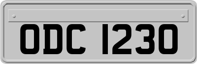 ODC1230