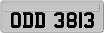 ODD3813