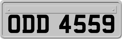ODD4559