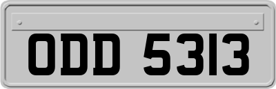 ODD5313