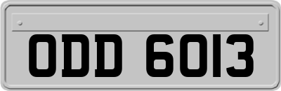ODD6013