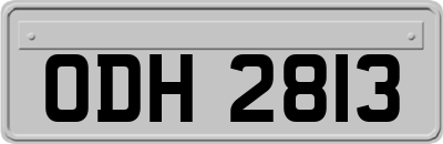 ODH2813