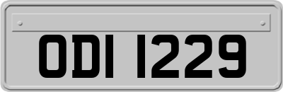 ODI1229