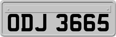 ODJ3665