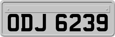 ODJ6239
