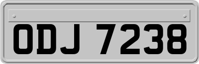 ODJ7238