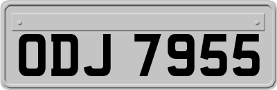 ODJ7955