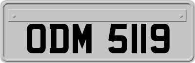 ODM5119