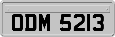 ODM5213