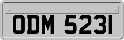 ODM5231