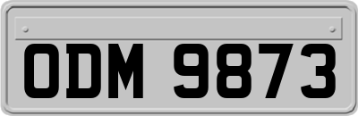 ODM9873