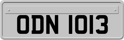 ODN1013