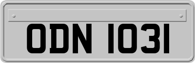 ODN1031