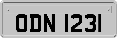 ODN1231