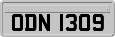 ODN1309
