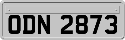 ODN2873