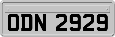 ODN2929