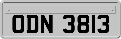 ODN3813