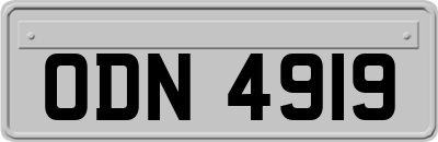 ODN4919
