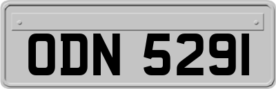 ODN5291